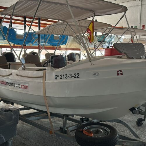 Modelo N450 Segunda Mano